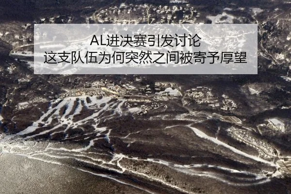 AL进决赛引发讨论 这支队伍为何突然之间被寄予厚望 - xingkong